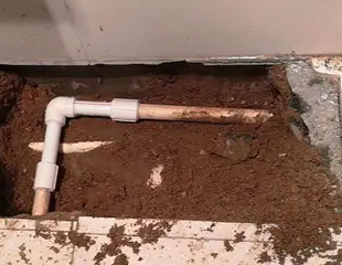 托里测漏水哪家好