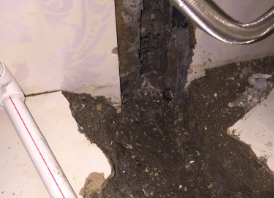 托里卫生间测漏水哪家好